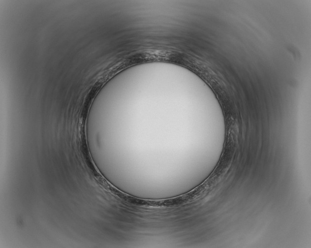 X0000112820649200908211001
