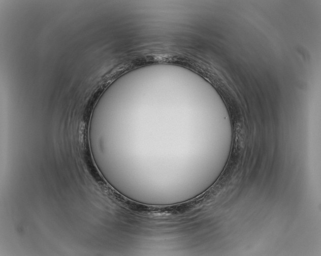 X0000112820650200908211001