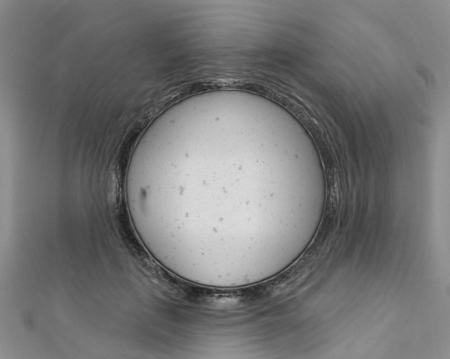 X0000112820651200908211001