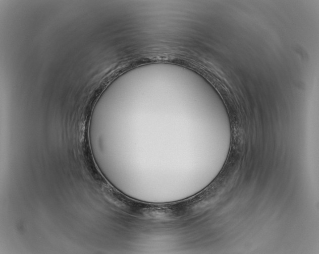 X0000112820652200908211001