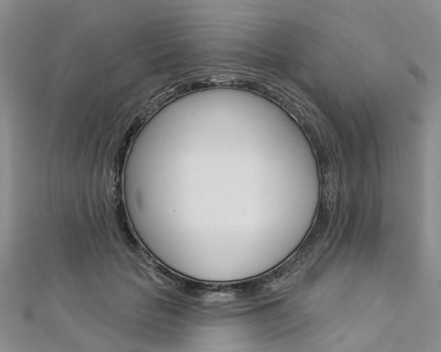 X0000112820653200908211001