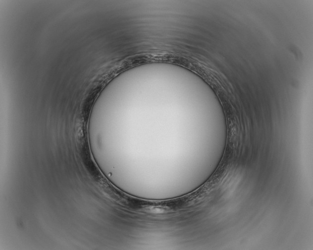X0000112820654200908211001