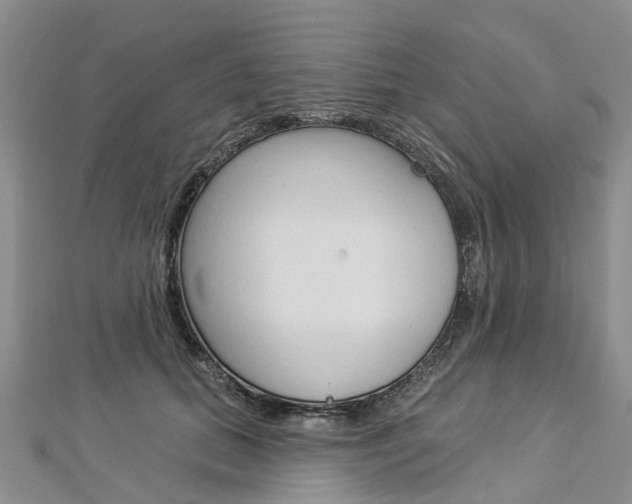 X0000112820655200908211001