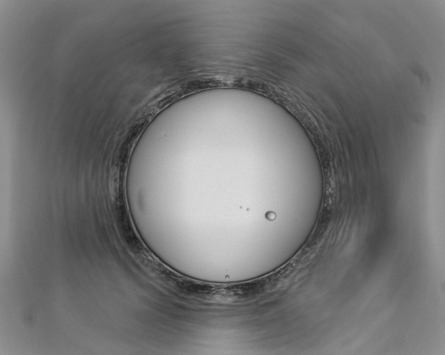 X0000112820656200908211001