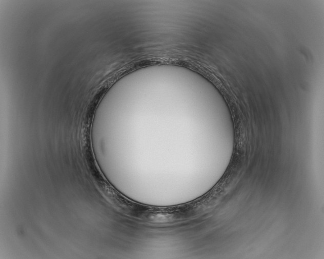 X0000112820658200908211001