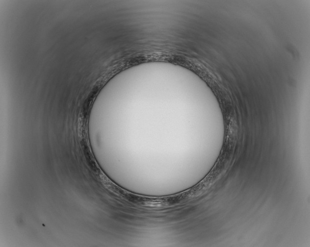 X0000112820659200908211001