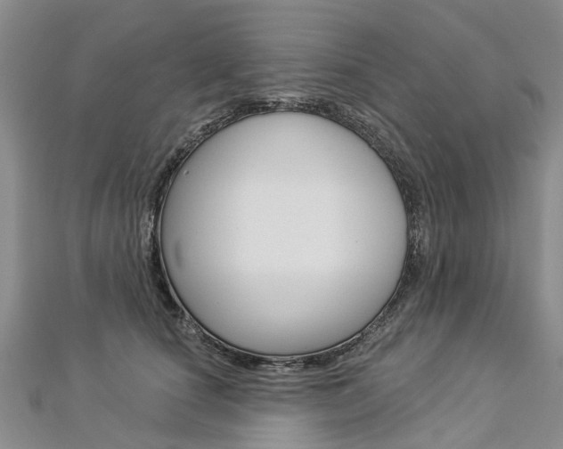 X0000112820660200908211001