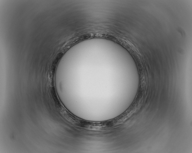 X0000112820661200908211001