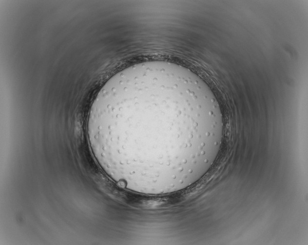 X0000112820662200908211001