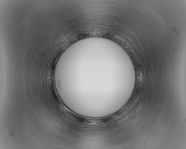 X0000112820663200908211001