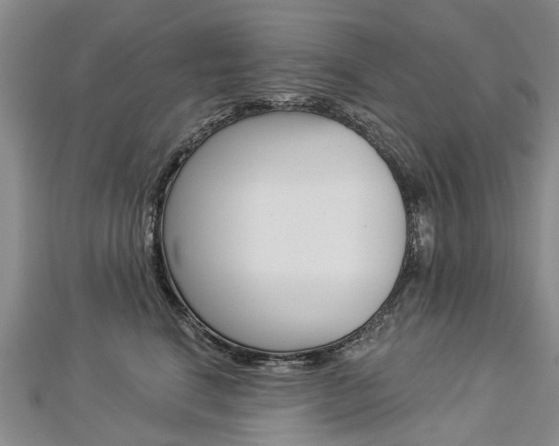 X0000112820664200908211001