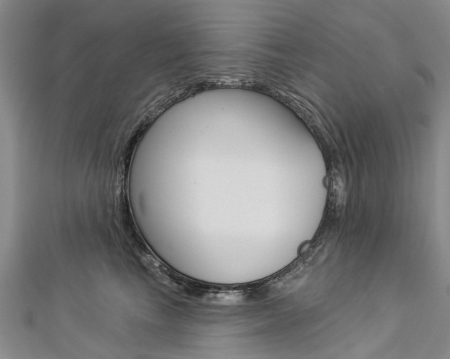 X0000112820665200908211001