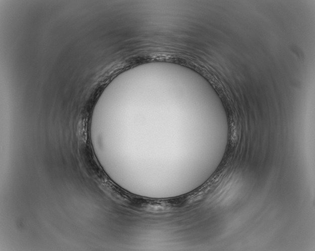 X0000112820666200908211001