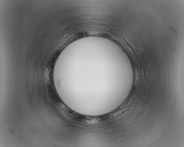 X0000112820667200908211001