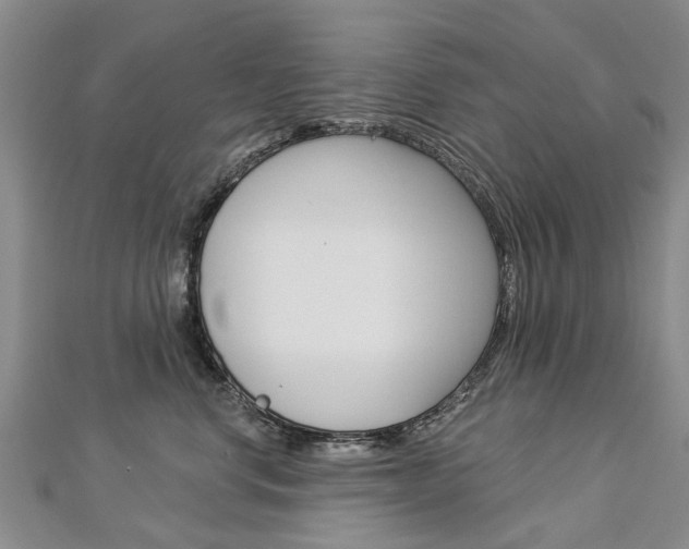 X0000112820668200908211001