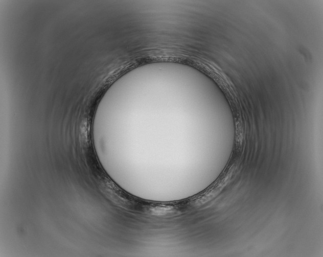 X0000112820669200908211001