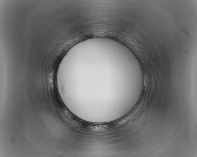 X0000112820670200908211001