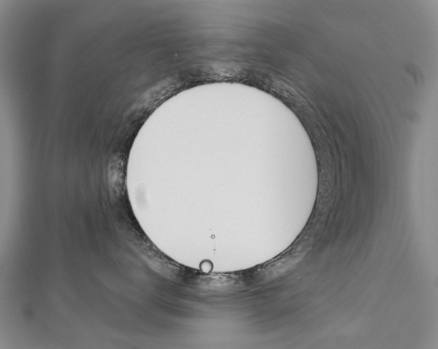 X0000112820672200908211001