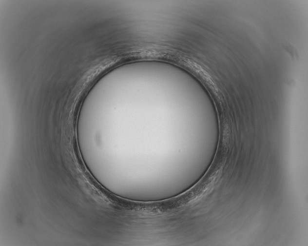 X0000112820673200908211001