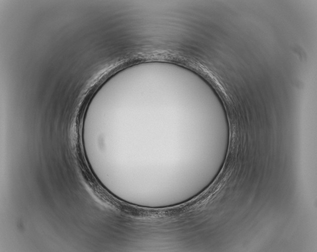 X0000112820674200908211001