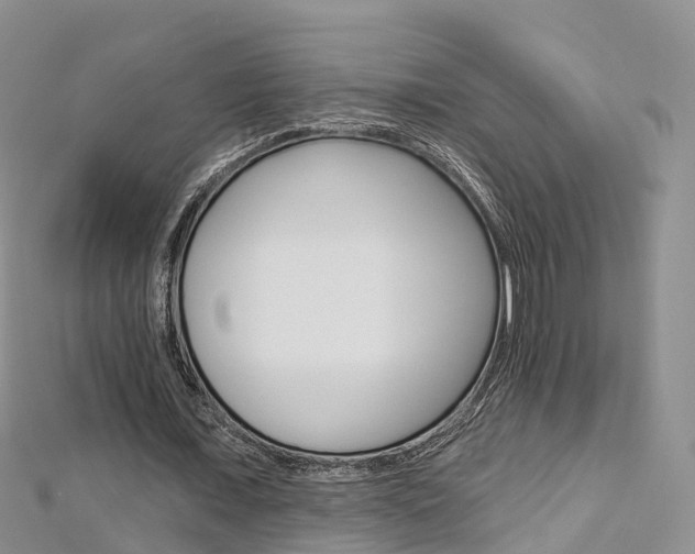 X0000112820675200908211001