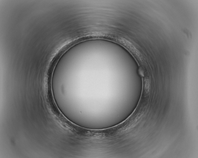 X0000112820676200908211001