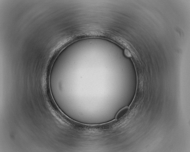 X0000112820677200908211001