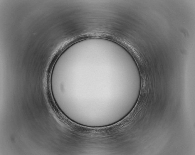 X0000112820678200908211001