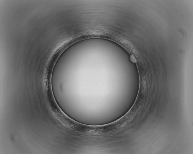 X0000112820680200908211001