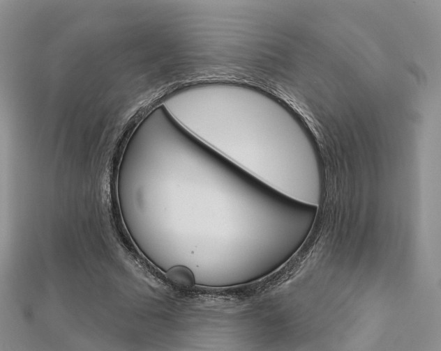X0000112820681200908211001