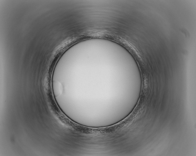 X0000112820682200908211001