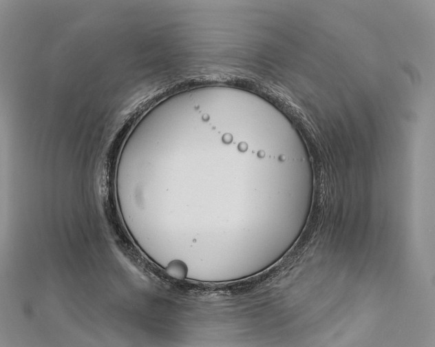 X0000112820683200908211000