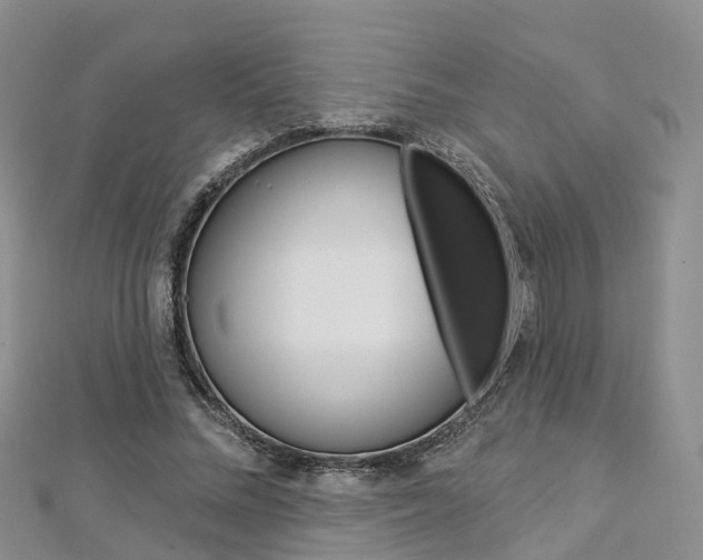 X0000112820684200908211000
