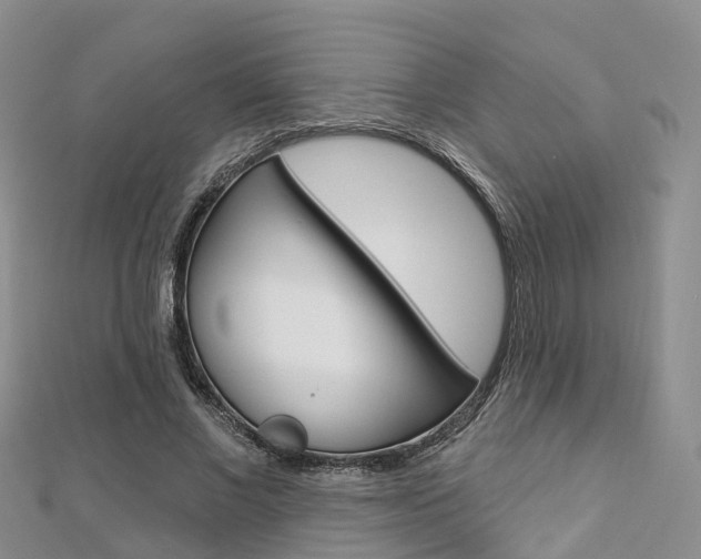 X0000112820685200908211000