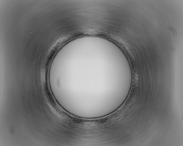 X0000112820686200908211000