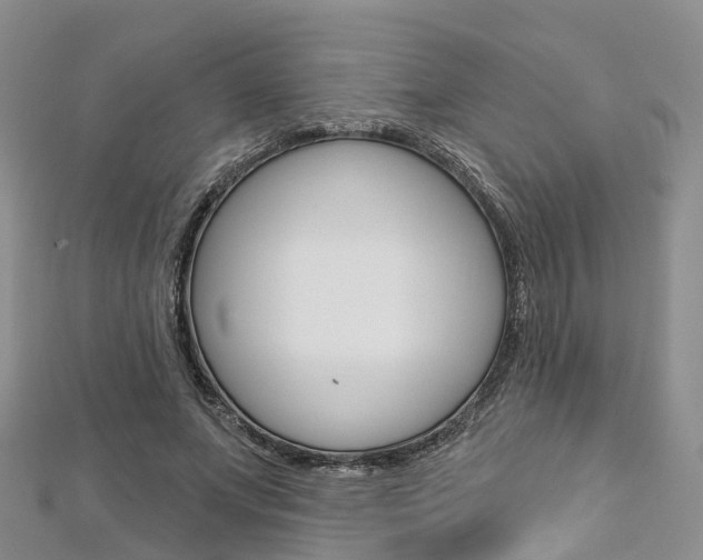X0000112820687200908211000
