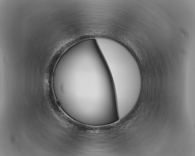 X0000112820688200908211000