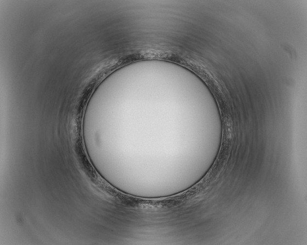X0000112820690200908211000