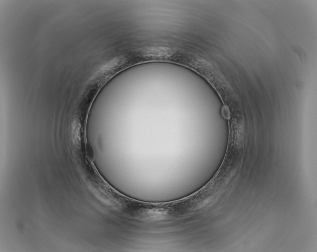 X0000112820692200908211000