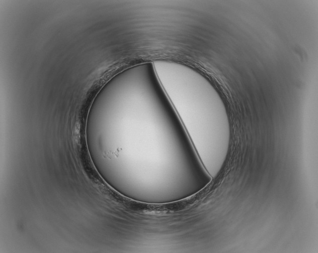 X0000112820693200908211000