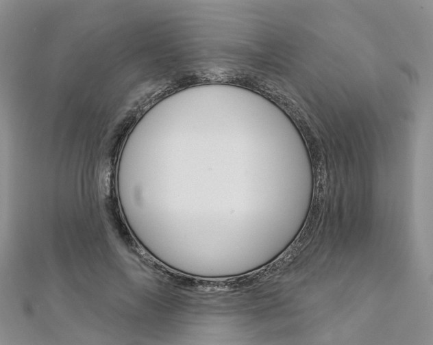X0000112820694200908211000