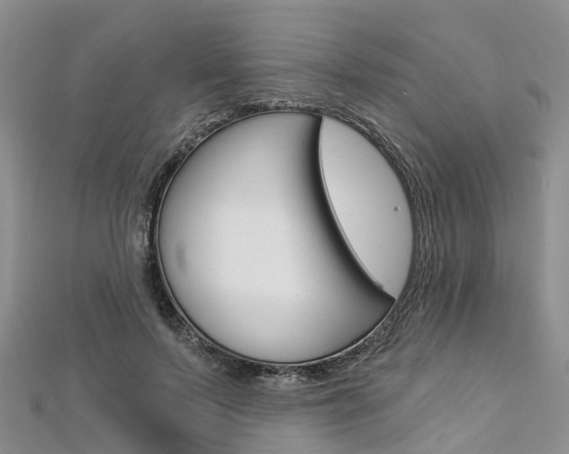 X0000112820695200908211000