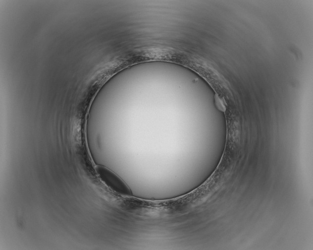 X0000112820696200908211000