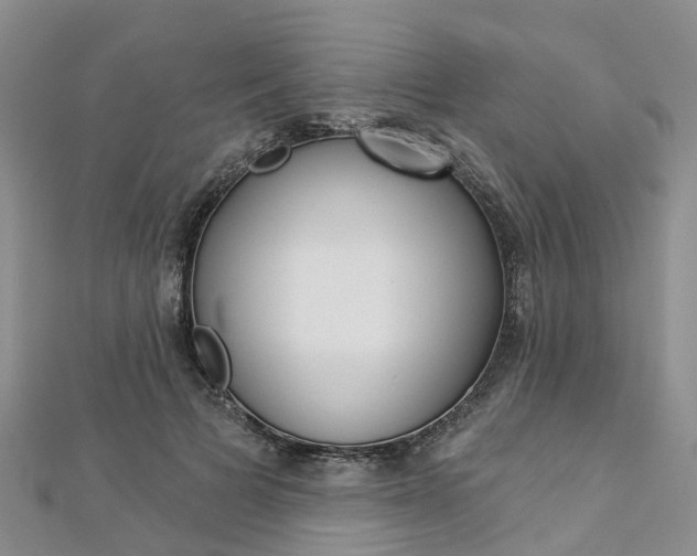 X0000112820697200908211000