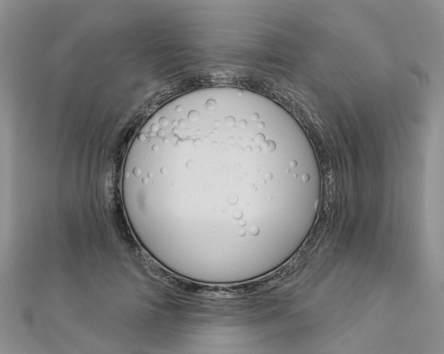 X0000112820698200908211000
