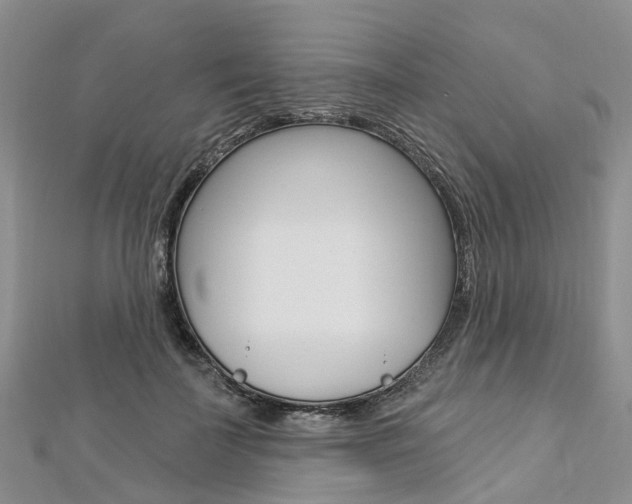 X0000112820699200908211000
