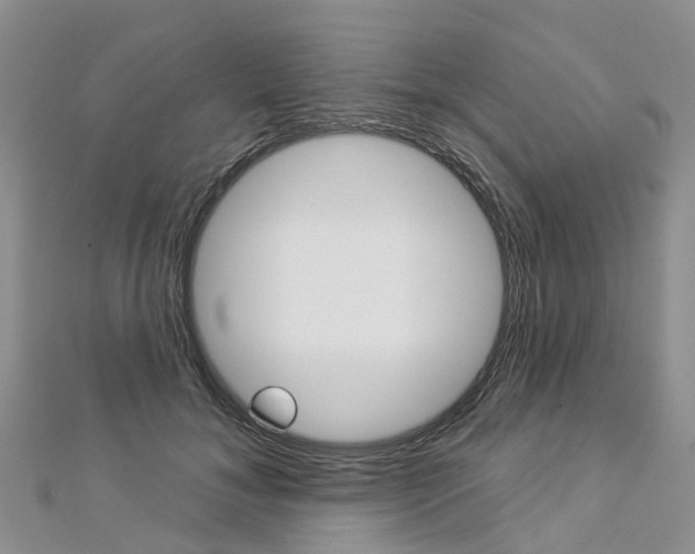 X0000112820700200908211000