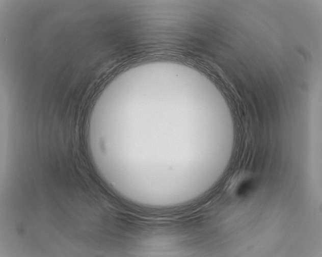 X0000112820701200908211000