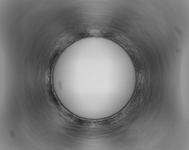 X0000112820702200908211000