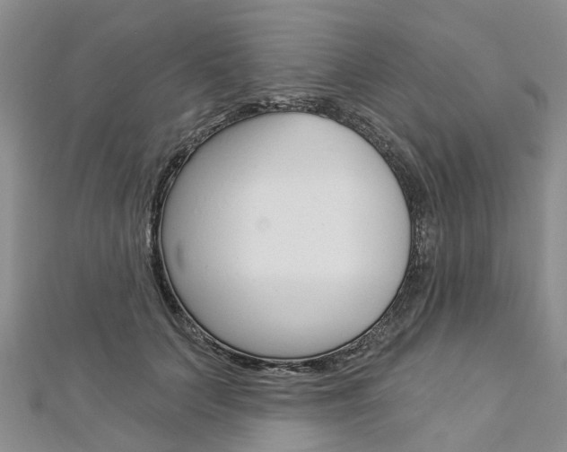 X0000112820703200908211000